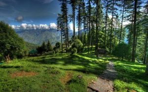 places to visit in kanatal - Best Places near Kanatal
