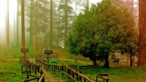 Places-to-Visit-in-Dhanaulti