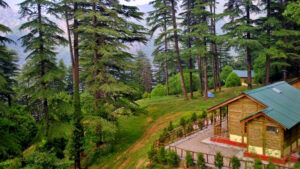 dhanaulti places to visit - DHANAULTI ECO PARK 