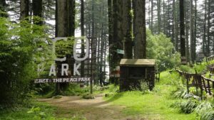 Places-to-Visit-in-Dhanaulti-eco-park